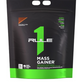 RULE ONE - MASS GAINER - 12LBS (20 SERV)
